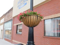 25" Lamppost Hayrack With Molded Coco Liner - 2 Pack 10 25" Lamppost Hayrack With Molded Coco Liner - 2 Pack -Outdoor Decor Art City of Madison Lamppost Hayrack2 69182.1705512693