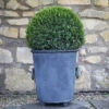 Classic Zinc Planter