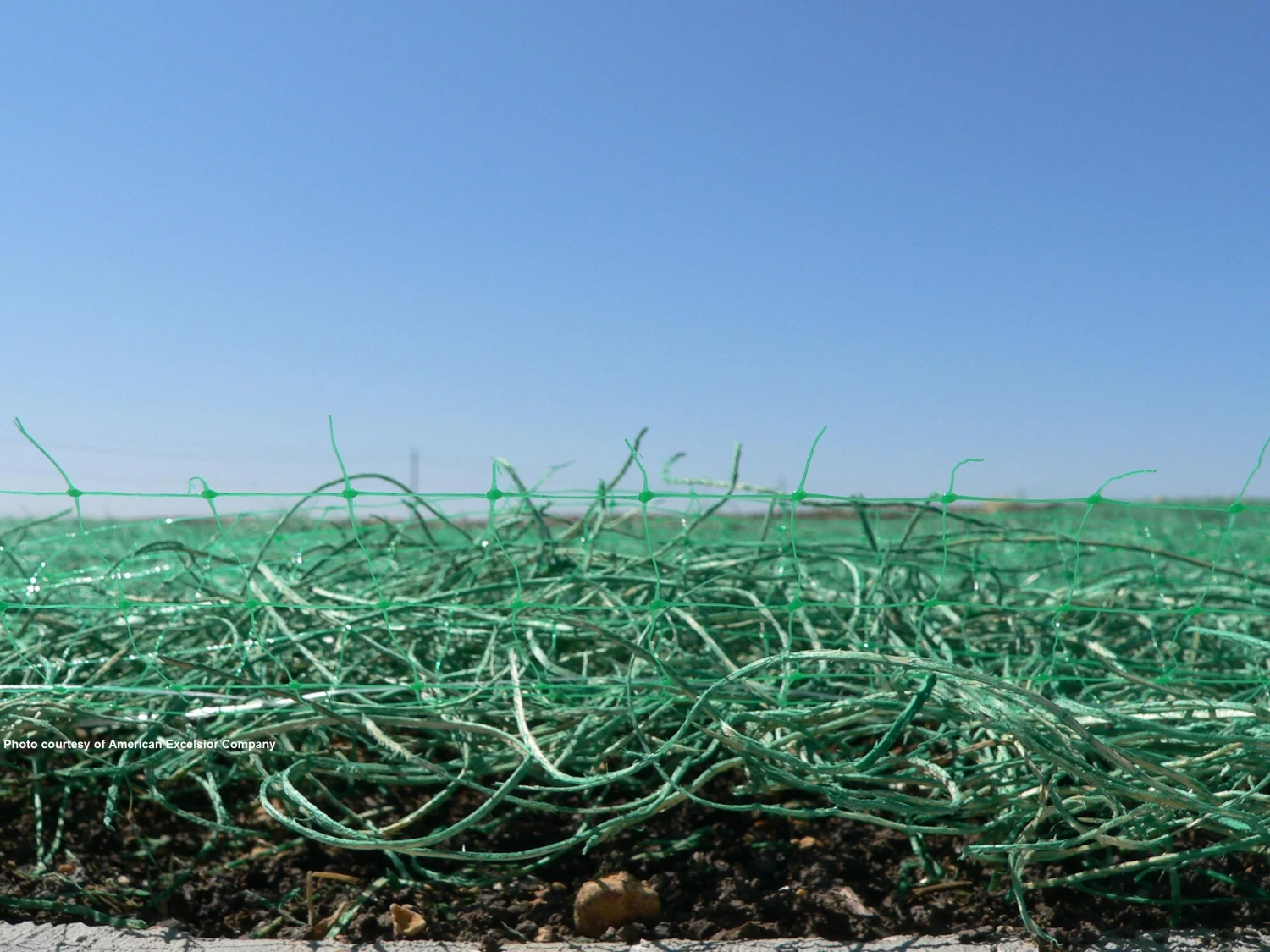 Curlex I 3 Curlex I - Image 3