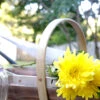 Wooden Trug
