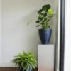Delano Tall Planter