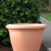 Dorset Bowl Planter