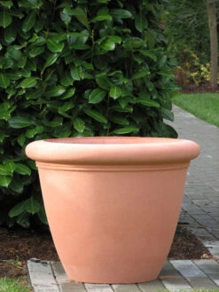 Dorset Bowl Planter