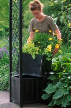 Versailles Planter 11 Versailles Planter -Outdoor Decor Art Drop in Take OutPlastic Insert 87136.1678815368