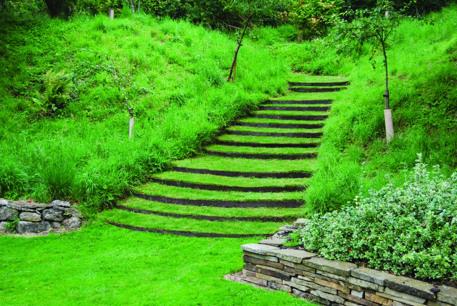 EverEdge Landscape Edging - Brown - 1.6mm 10 EverEdge Landscape Edging - Brown - 1.6mm - Image 10