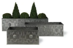 Elizabethan Family Of Planters