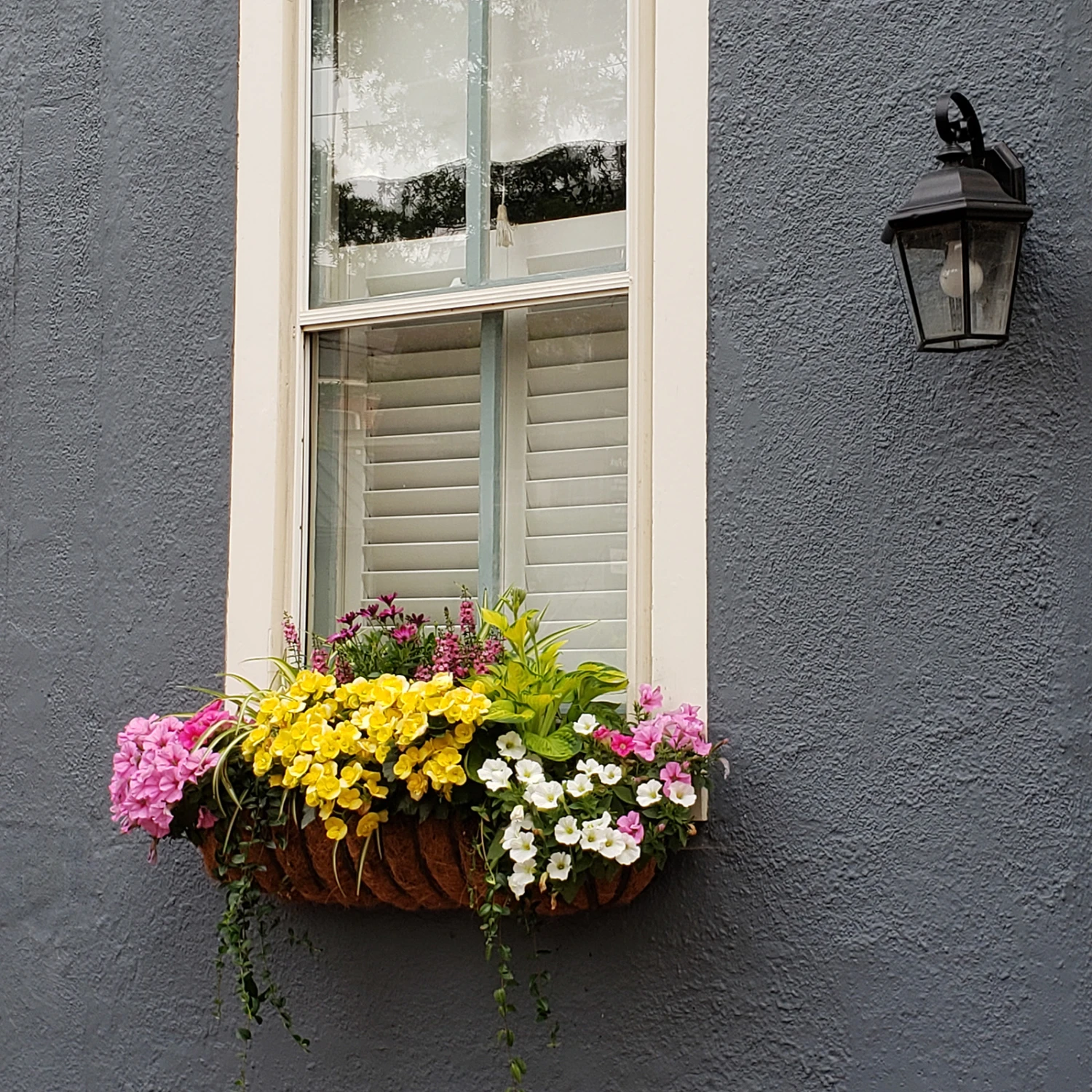 Garden Artisans 36 In Window Hayrack With Molded Coco Liner 4 Garden Artisans 36 In Window Hayrack With Molded Coco Liner - Image 4