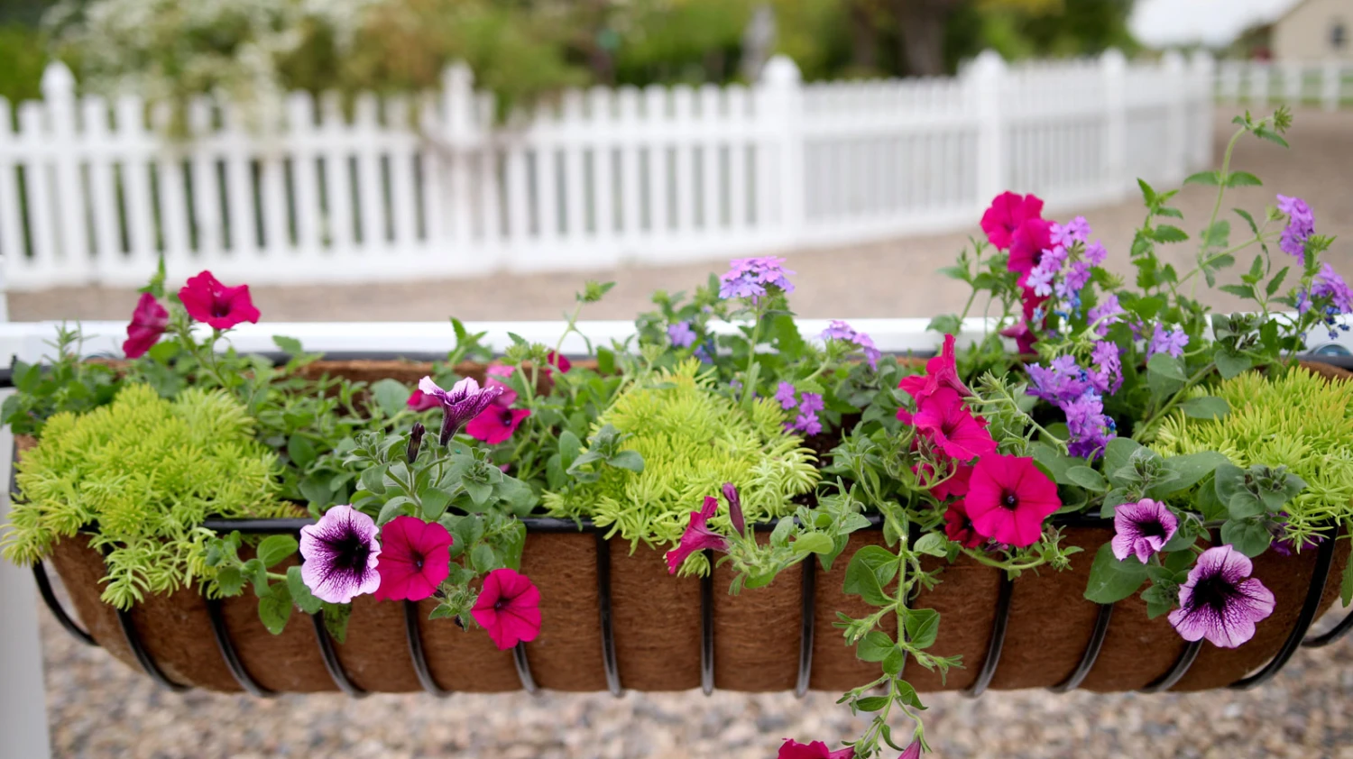 44 In Window Hayrack With Molded Coco Liner 2 44 In Window Hayrack With Molded Coco Liner - Image 2