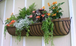 72 In Sectional Window Hayrack With Molded Coco Liner 5 72 In Sectional Window Hayrack With Molded Coco Liner -Outdoor Decor Art GG72 b 34956.1706967143