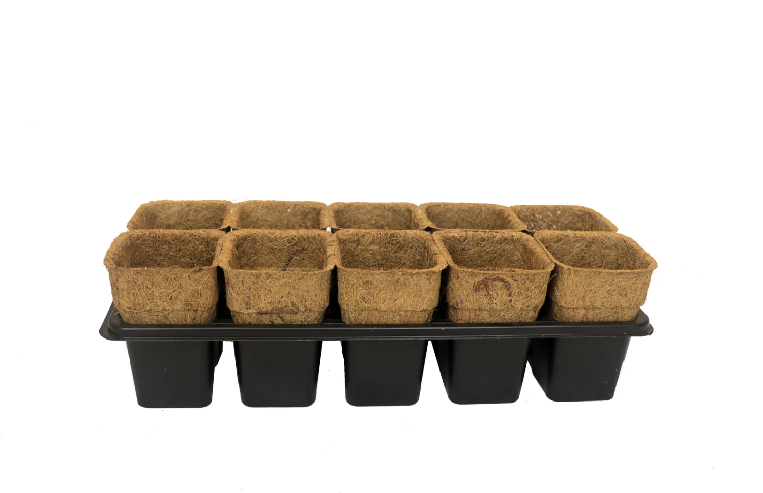 Go Grow Kit 2 Go Grow Kit - Image 2