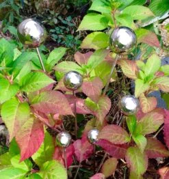 Lollipops - Set Of 6 Stainless Steel Decorative Garden Stakes -Outdoor Decor Art GardenLollipops outside 33488.1697489361