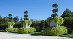 Geo Tapered Square Pot -Outdoor Decor Art Geo Tap Sq Geo9 Abe Jerome 2 25300.1676036712