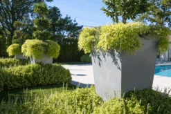 Geo Tapered Square Pot -Outdoor Decor Art Geo Tap Sq Geo9 Abe Jerome 4 89704.1676036712