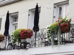 Garden Artisans 36 In Window Hayrack With Molded Coco Liner 10 Garden Artisans 36 In Window Hayrack With Molded Coco Liner -Outdoor Decor Art HayrackNO10 1600 87796.1705686372