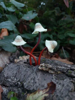Spotted Polymer Mushrooms Set Of 5 - Amber 9 Spotted Polymer Mushrooms Set Of 5 - Amber -Outdoor Decor Art KB MS5A5 1600 10218.1677360911