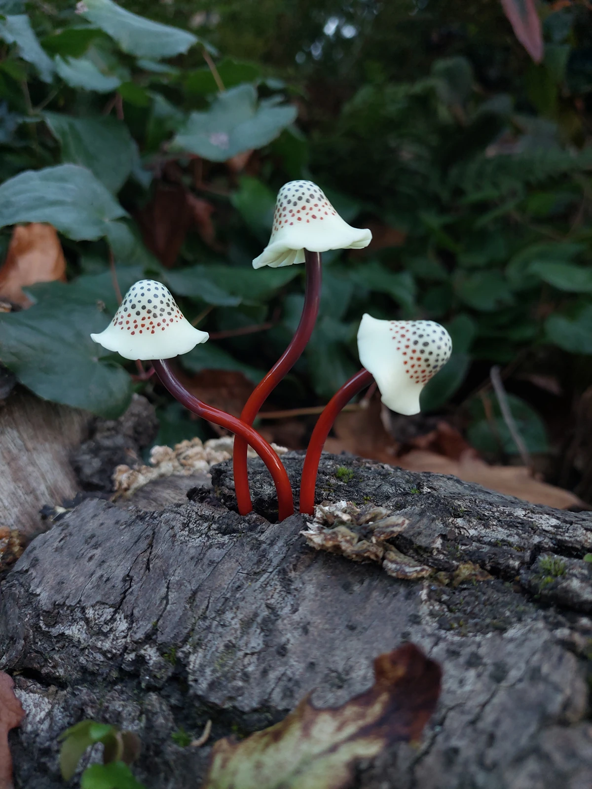 Spotted Polymer Mushrooms Set Of 5 - Amber 5 Spotted Polymer Mushrooms Set Of 5 - Amber - Image 5