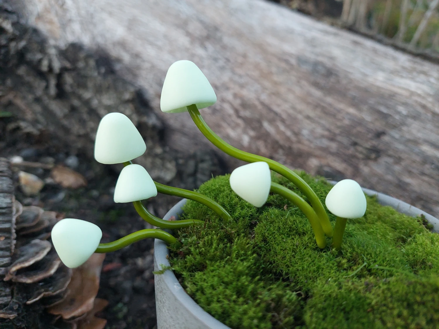 Polymer Mushrooms Set Of 9 - Creme 1 Polymer Mushrooms Set Of 9 - Creme