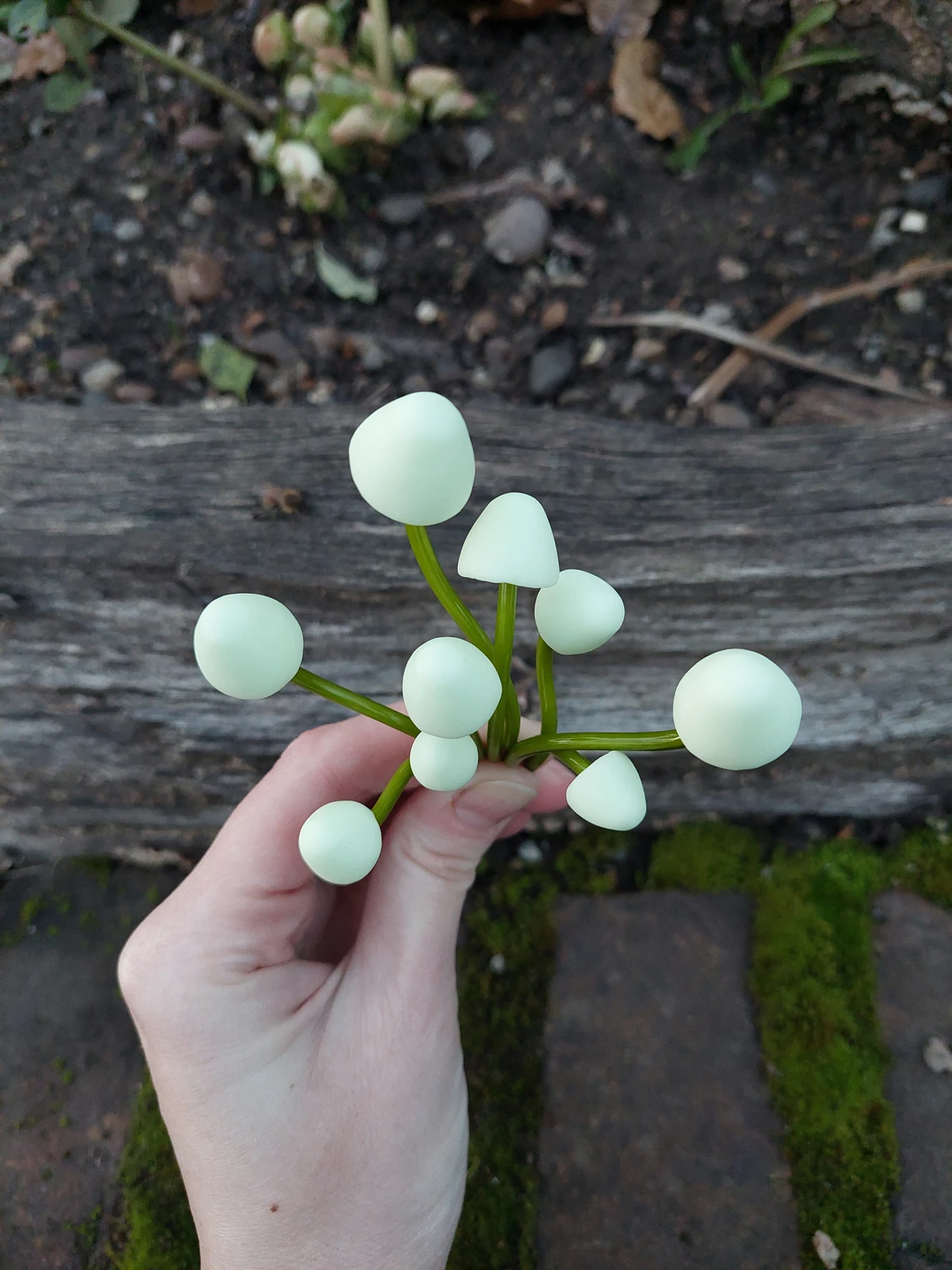 Polymer Mushrooms Set Of 9 - Creme 3 Polymer Mushrooms Set Of 9 - Creme - Image 3