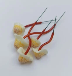 Spotted Polymer Mushrooms Set Of 5 - Rust -Outdoor Decor Art KB MS5R4 1600 64962.1677360719