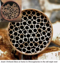Mason Bee Nest Kit - 52 Tubes