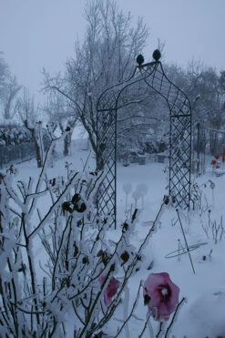 Kiftsgate Garden Arch 9 Kiftsgate Garden Arch -Outdoor Decor Art Kiftsgate 13 45367.1712760555