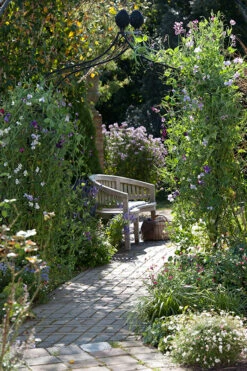 Kiftsgate Garden Arch 10 Kiftsgate Garden Arch -Outdoor Decor Art Kiftsgate 14 13129.1712760555