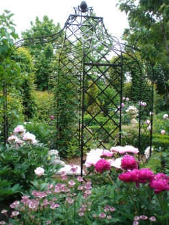 Kiftsgate Gazebo -Outdoor Decor Art Kiftsgate Gazebo 2 1600 43989.1678814406