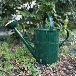 Green Galvanized European Classic Double Grip Watering Can 2.6 Gallon -Outdoor Decor Art LHYBG 1.2000 73715.1710422860