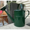Green Galvanized European Classic Double Grip Watering Can 2.6 Gallon