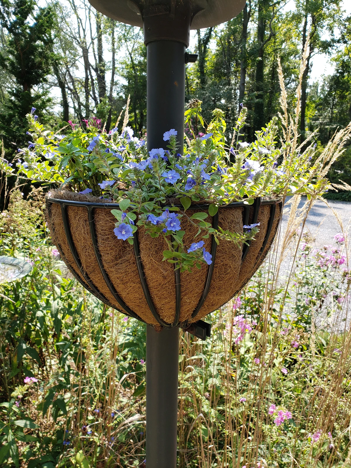 Residential Lamppost Hayrack 8 Residential Lamppost Hayrack - Image 8