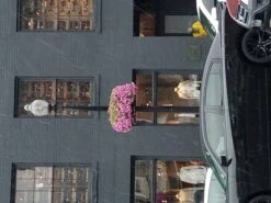 25" Lamppost Hayrack With Molded Coco Liner - 2 Pack 12 25" Lamppost Hayrack With Molded Coco Liner - 2 Pack -Outdoor Decor Art LPH25 Georgetown4 85788.1705512693