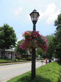 Lamppost Hayrack Baskets 25" - No Liner 11 Lamppost Hayrack Baskets 25" - No Liner -Outdoor Decor Art LPH25 HRB 3 1600 17439.1704817987