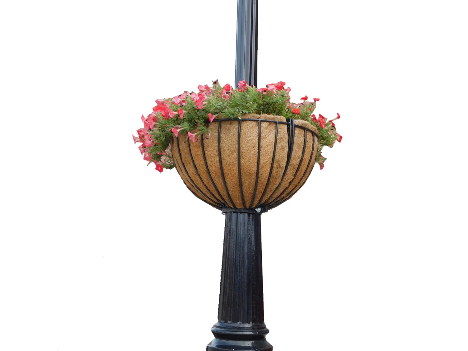 25" Lamppost Hayrack With Molded Coco Liner - 2 Pack 1 25" Lamppost Hayrack With Molded Coco Liner - 2 Pack