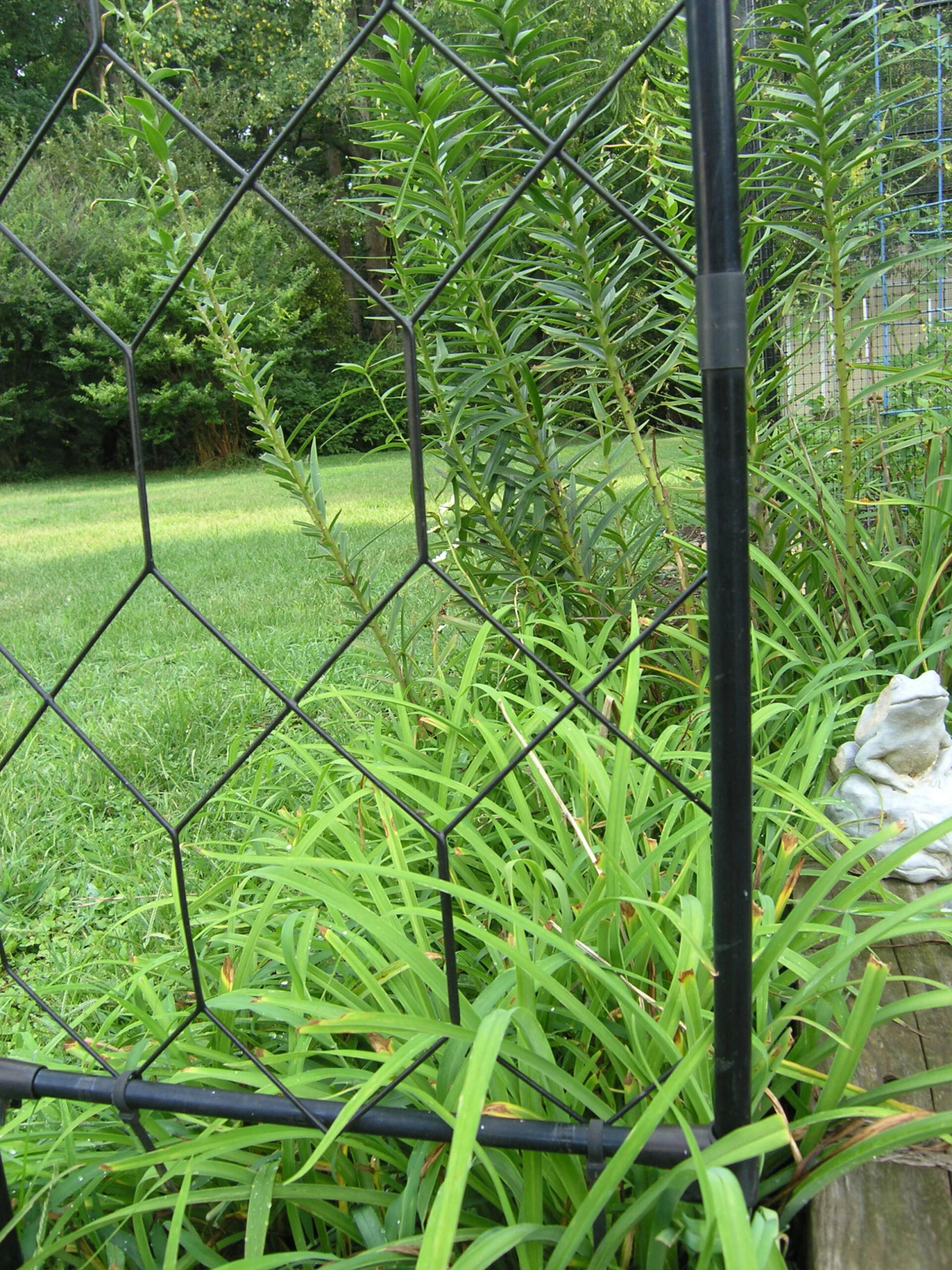 Lattice Infill Kit 2 Lattice Infill Kit - Image 2