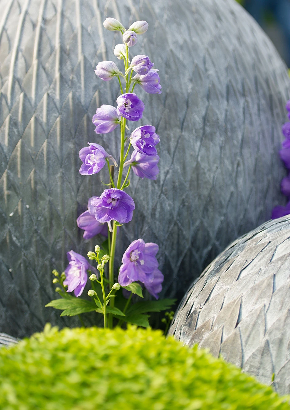 Leaf Ball 2 Leaf Ball - Image 2