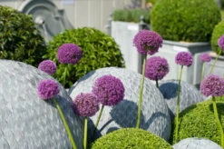 Leaf Ball 15 Leaf Ball -Outdoor Decor Art LeafBall7 90950.1674510737