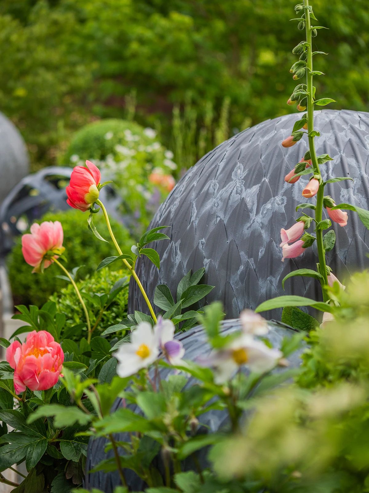 Leaf Ball 7 Leaf Ball - Image 7