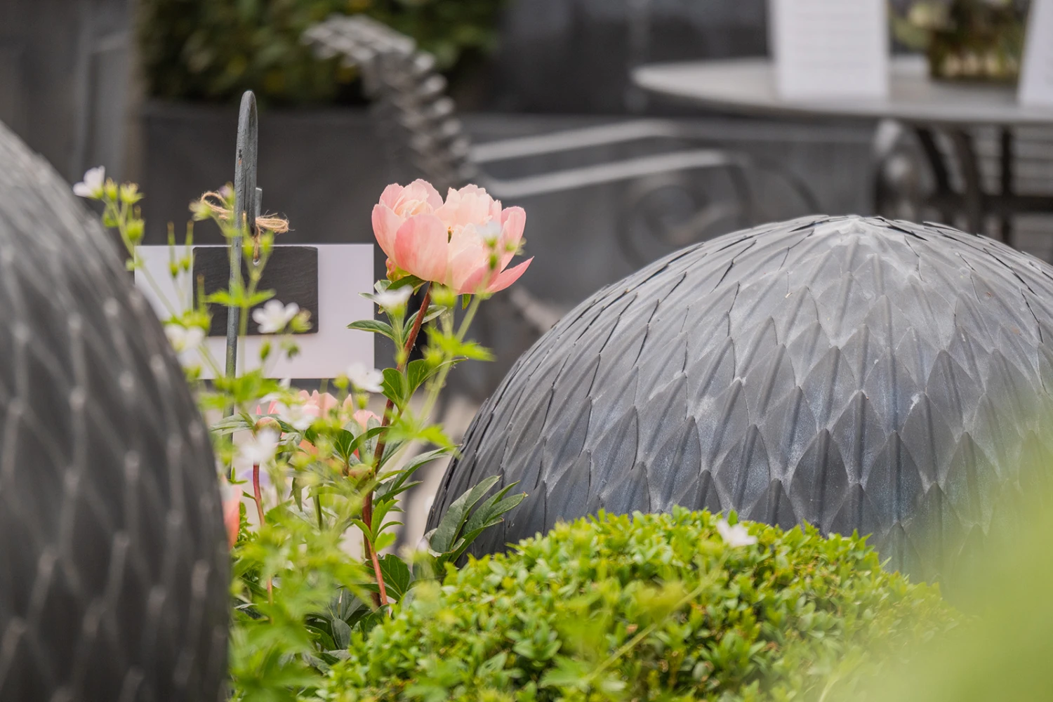 Leaf Ball 4 Leaf Ball - Image 4