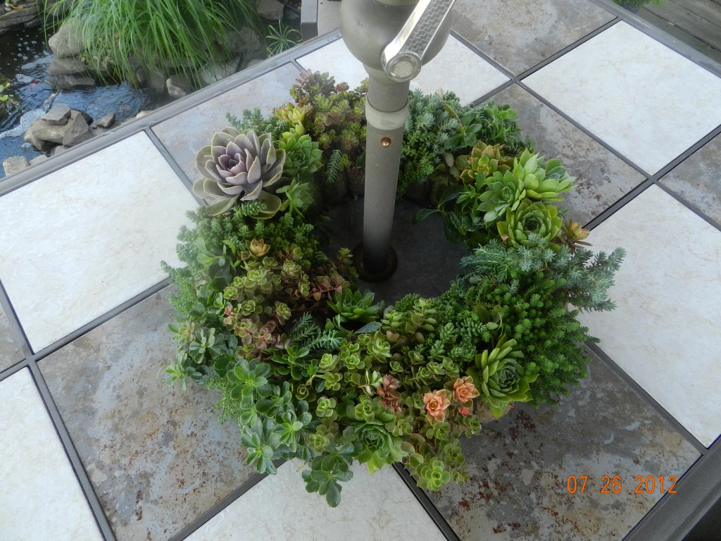 16" Living Wreath Frame W/ Jute Liner - Clip-Together Design 2 16" Living Wreath Frame W/ Jute Liner - Clip-Together Design - Image 2