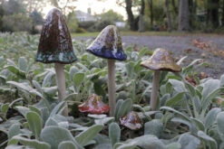 Outdoor Decor Art -Outdoor Decor Art MR04 C 1600 43657.1677358993