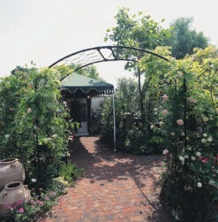 Monet Garden Arch -Outdoor Decor Art Monet CX 1 56313.1698757058