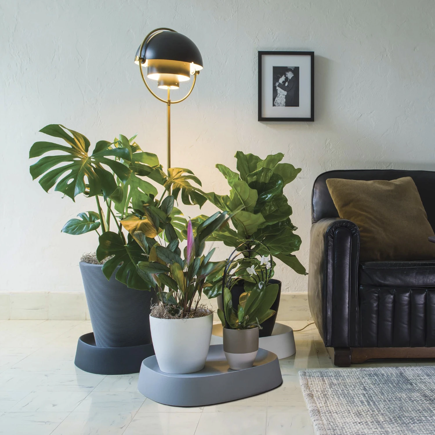 Pebble Caddy 1 Pebble Caddy