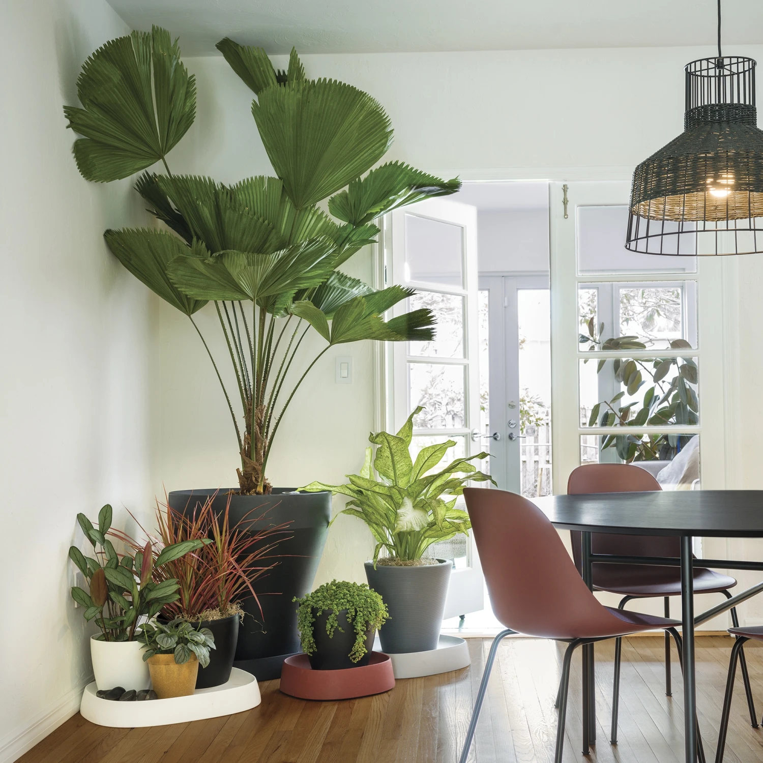 Pebble Caddy 2 Pebble Caddy - Image 2