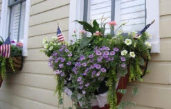 Window Hayrack Planter -Outdoor Decor Art Planted Hayrack 16014.1706388645