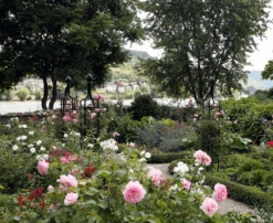 Obelisk I 19 Obelisk I -Outdoor Decor Art R2 Obelisk I 4 23416.1676036712