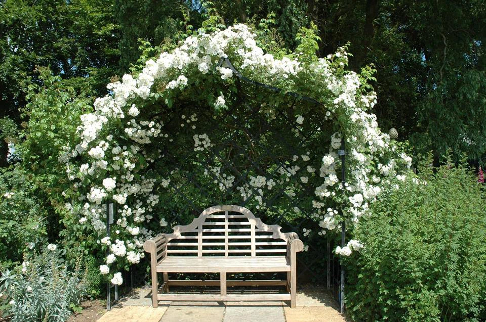 Enclosed Garden Arbor 2 Enclosed Garden Arbor - Image 2