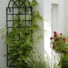 Orangery Wall Trellis