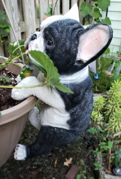 MARSHALL Hanging French Bulldog -Outdoor Decor Art RA49 b 1600 57692.1676036622