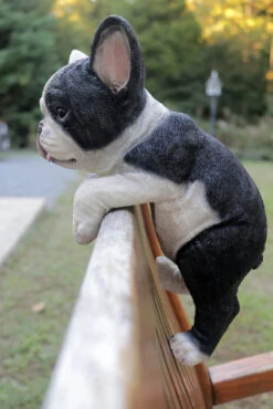 MARSHALL Hanging French Bulldog -Outdoor Decor Art RA49 h 1600 08661.1676036622