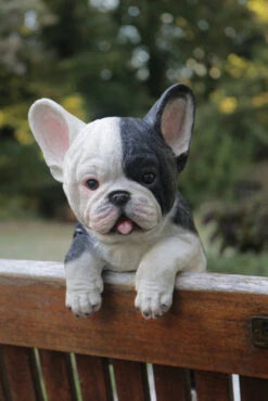 MARSHALL Hanging French Bulldog -Outdoor Decor Art RA49 k 1600 03108.1676036622